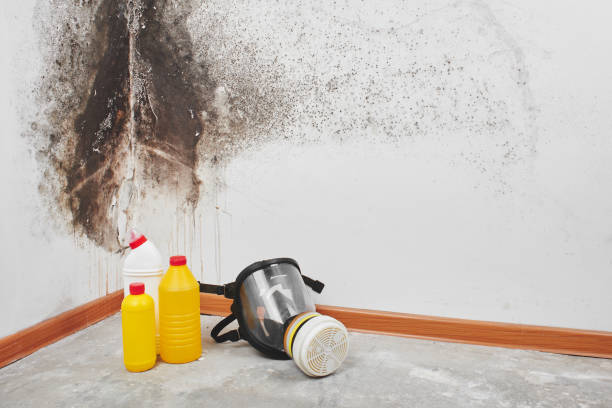 Best Mold Testing  in Newman, CA