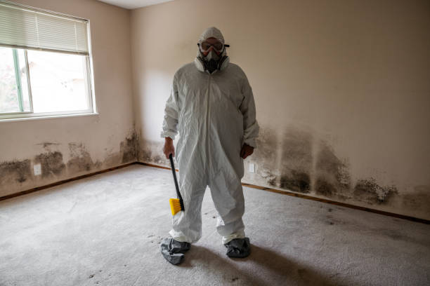 Best Fast Mold Removal  in Newman, CA